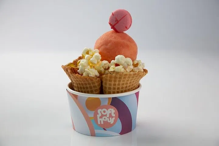 janice-wong-ice-cream-cup