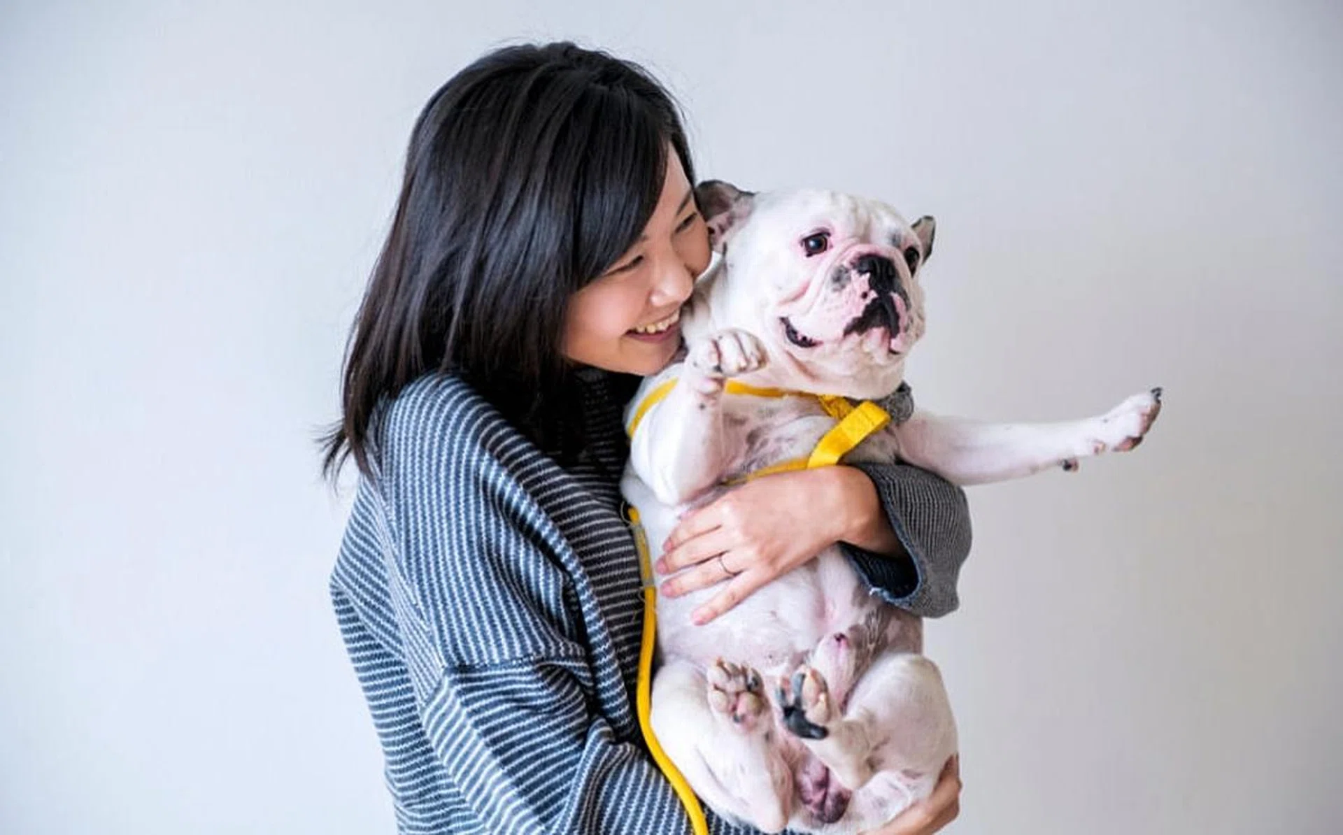 pet_sitter_rect