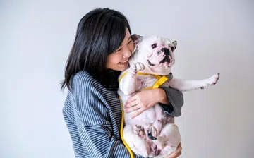 pet_sitter_rect