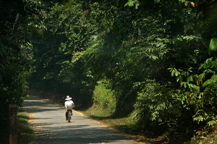 A resident of Pulau Ubin cycling down a slope at Pulau Ubin. Pulau Ubin could be promoted as an ecotourism destination, a biodiversity hub or a village where Singapore residents weary of the city can go to relax.