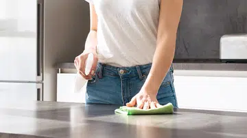 clean-house-miss-spots