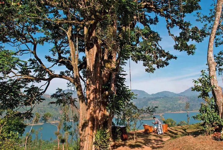 Soak in the panoramic views of the Castlereagh Lake and the surrounding mountainscape.
