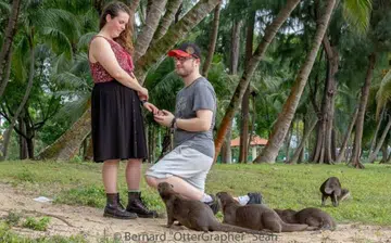 otter_proposal
