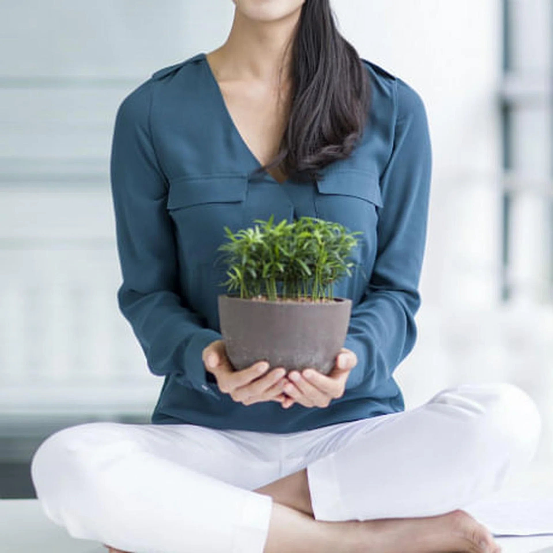 how to save money and go green eco friendly at home at work singapore thumb