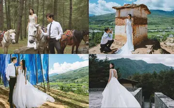 collagejjjr