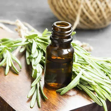 herbs_1