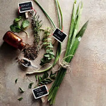 PIc herbs 1T