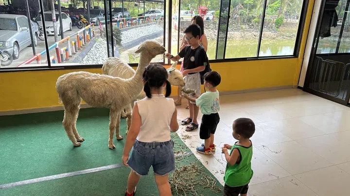 Credit: Desaru Fruit Farm