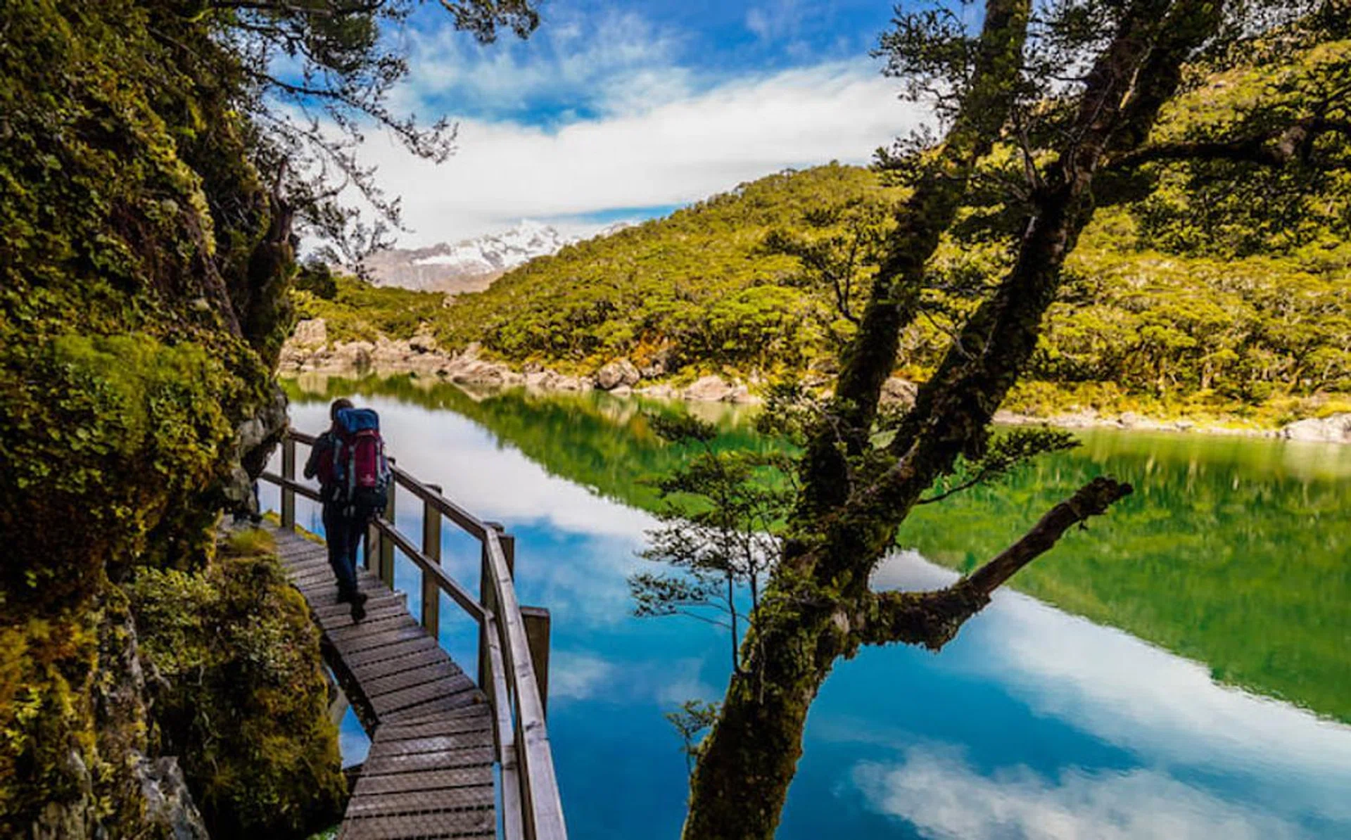 milford_track_r