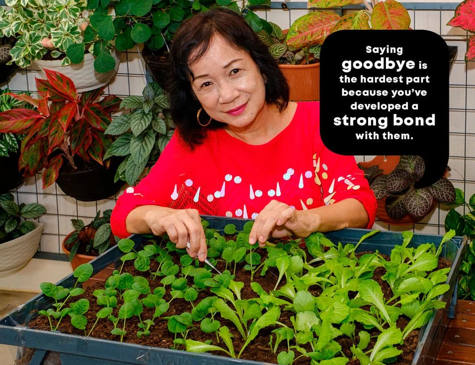 her world her story choo-kheng-huay-fostering-singapore