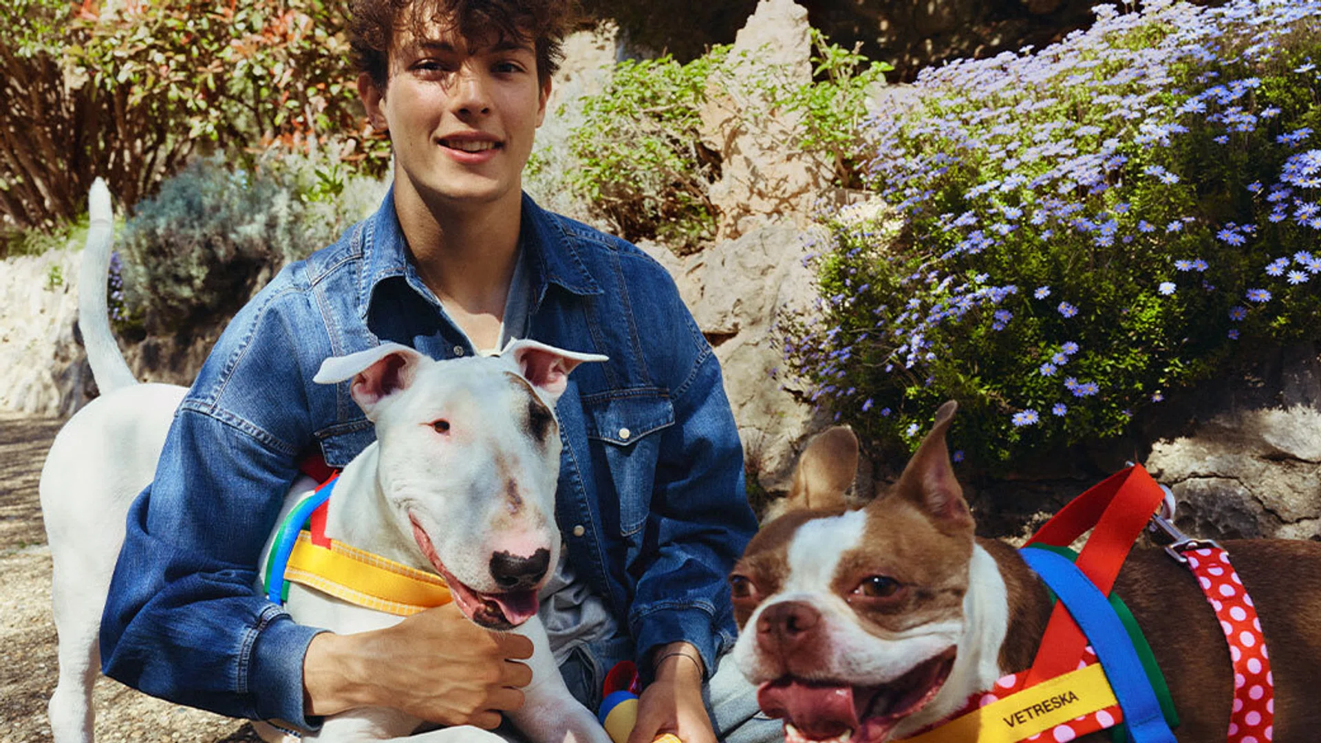 Ollie Bearman for VETRESKA