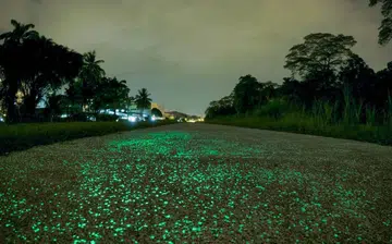 date ideas singapore