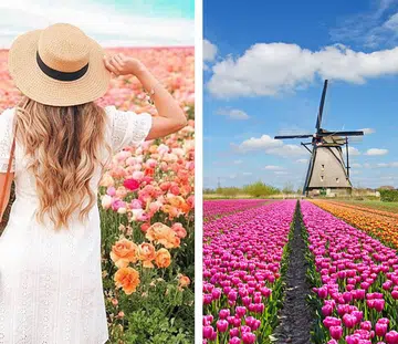 flower_fields_for_wedding_photos