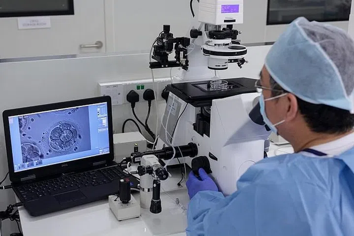 IVF lab Dr-Liow_Lab_blastocysts