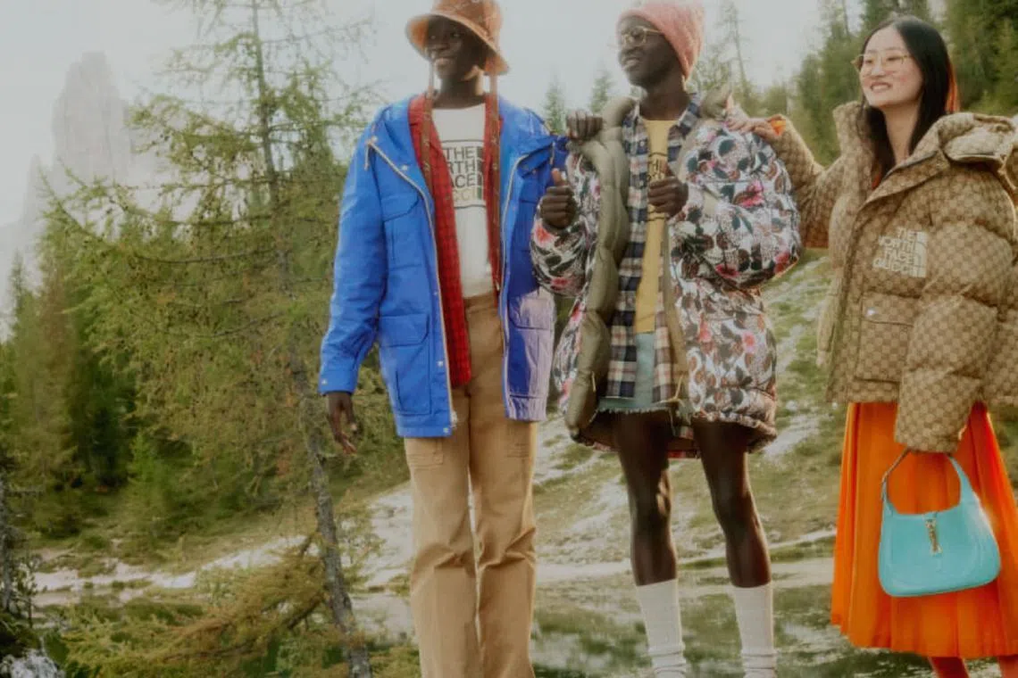 Gucci and The North Face teams up for a new collaboration and this