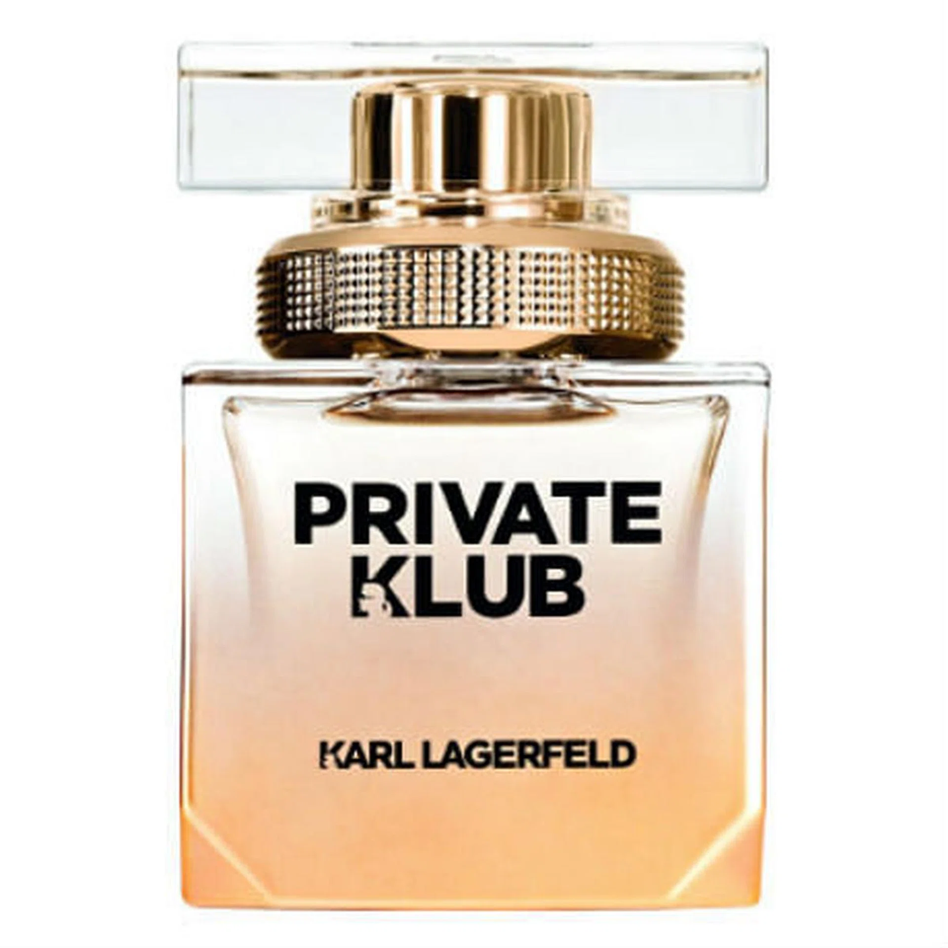 0401_karllagerfeldtn