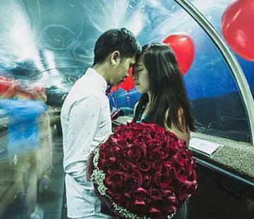 st_proposals_tn