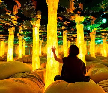 dopamine land grove installation 