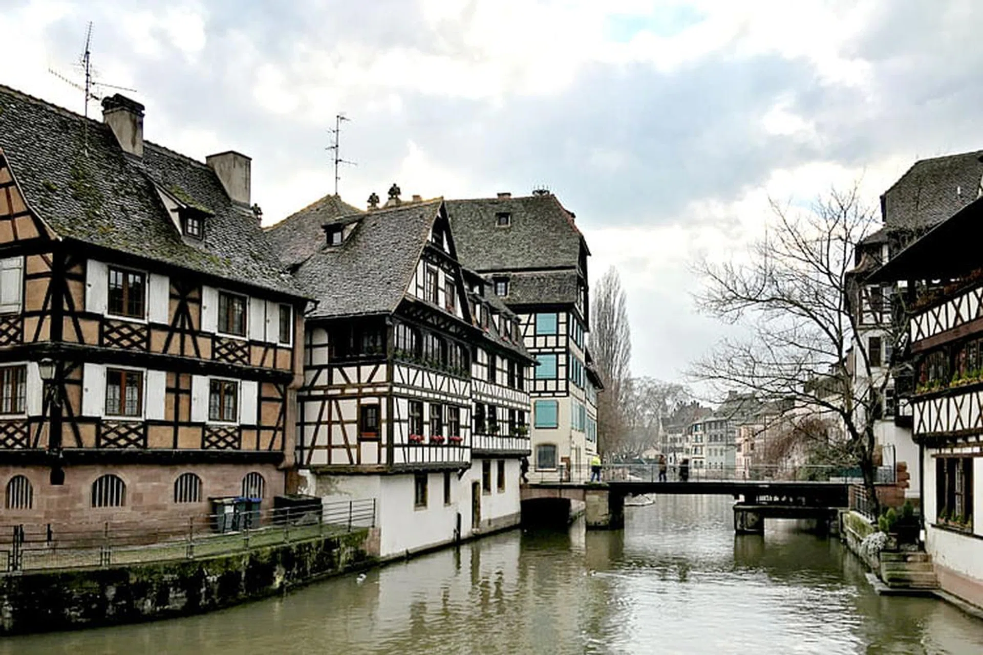 strasbourgleadpic