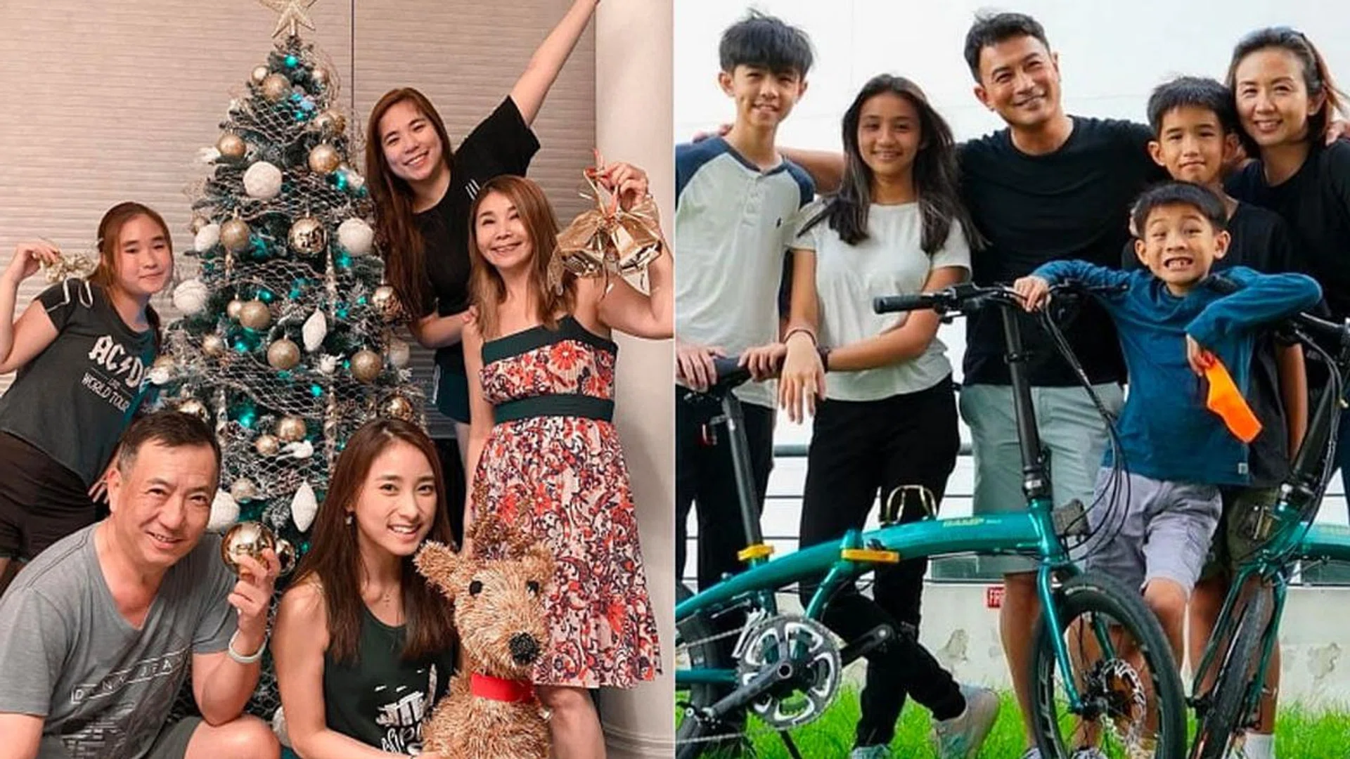 Credit: Instagram/shanananabanananaa, Instagram/darrenlim72
