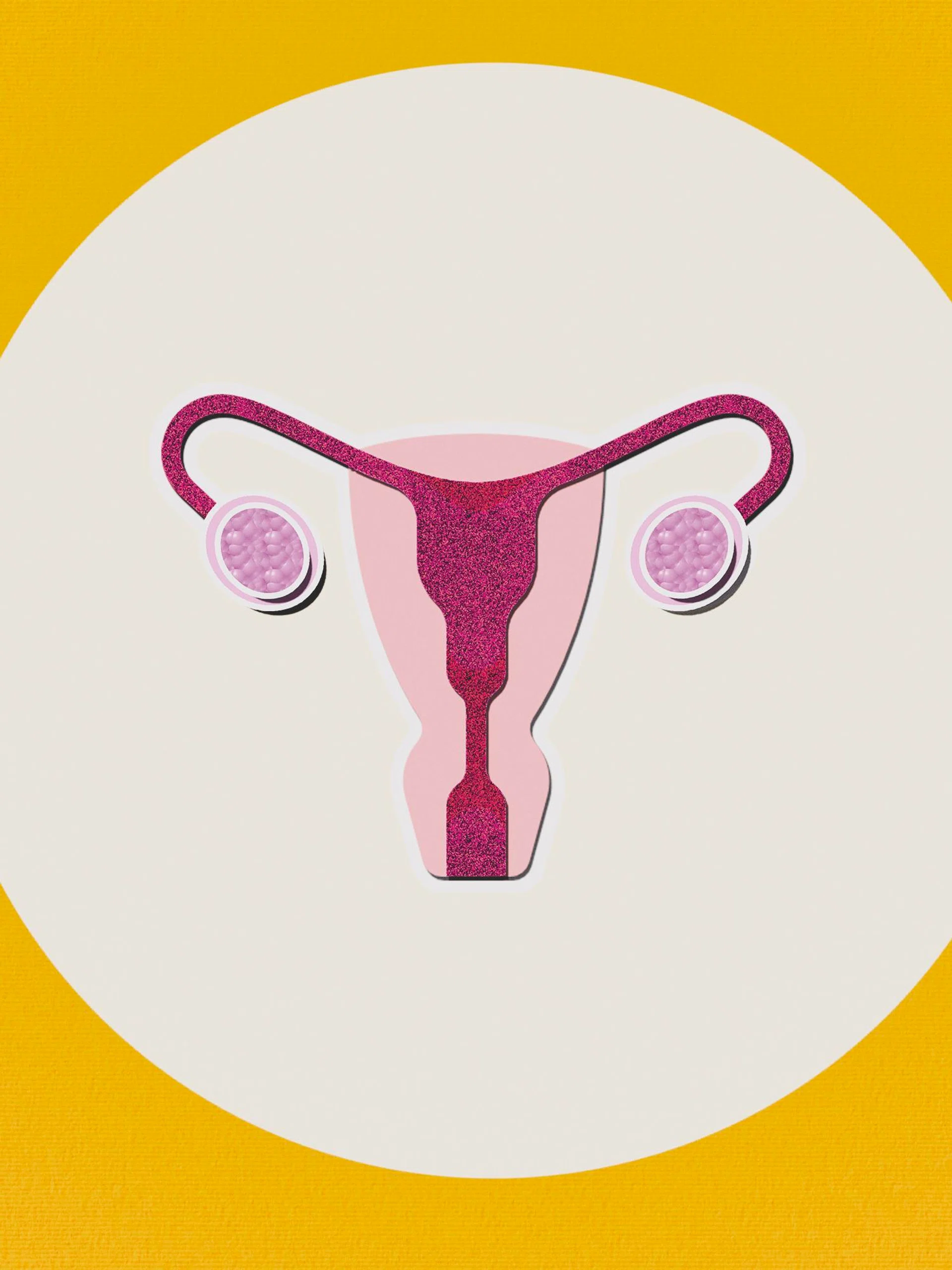 diagram of a uterus