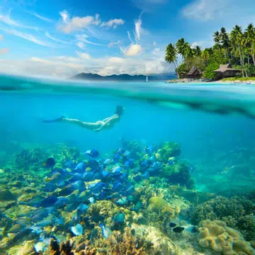 3003_travel_tn