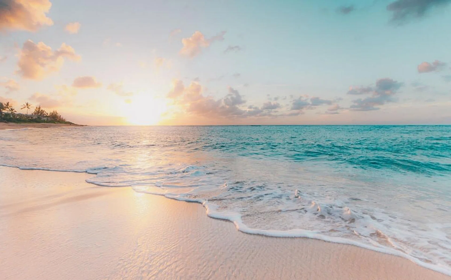 the_insiders_guide_to_honolulu_rect_