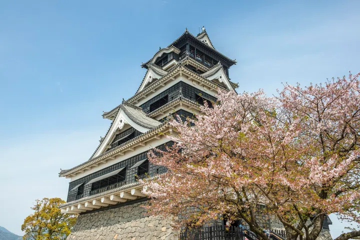 Japan, Kumamoto, view to Kumamoto Castle at cherry blossom