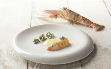 fisk_rect