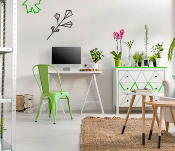 Why you should have indoor plants in the home and how to care for them