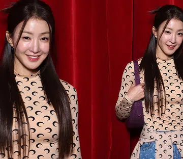 Lee si-young ivf journey