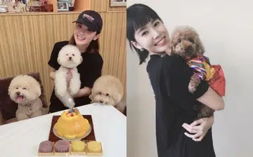 year_of_dog_rec