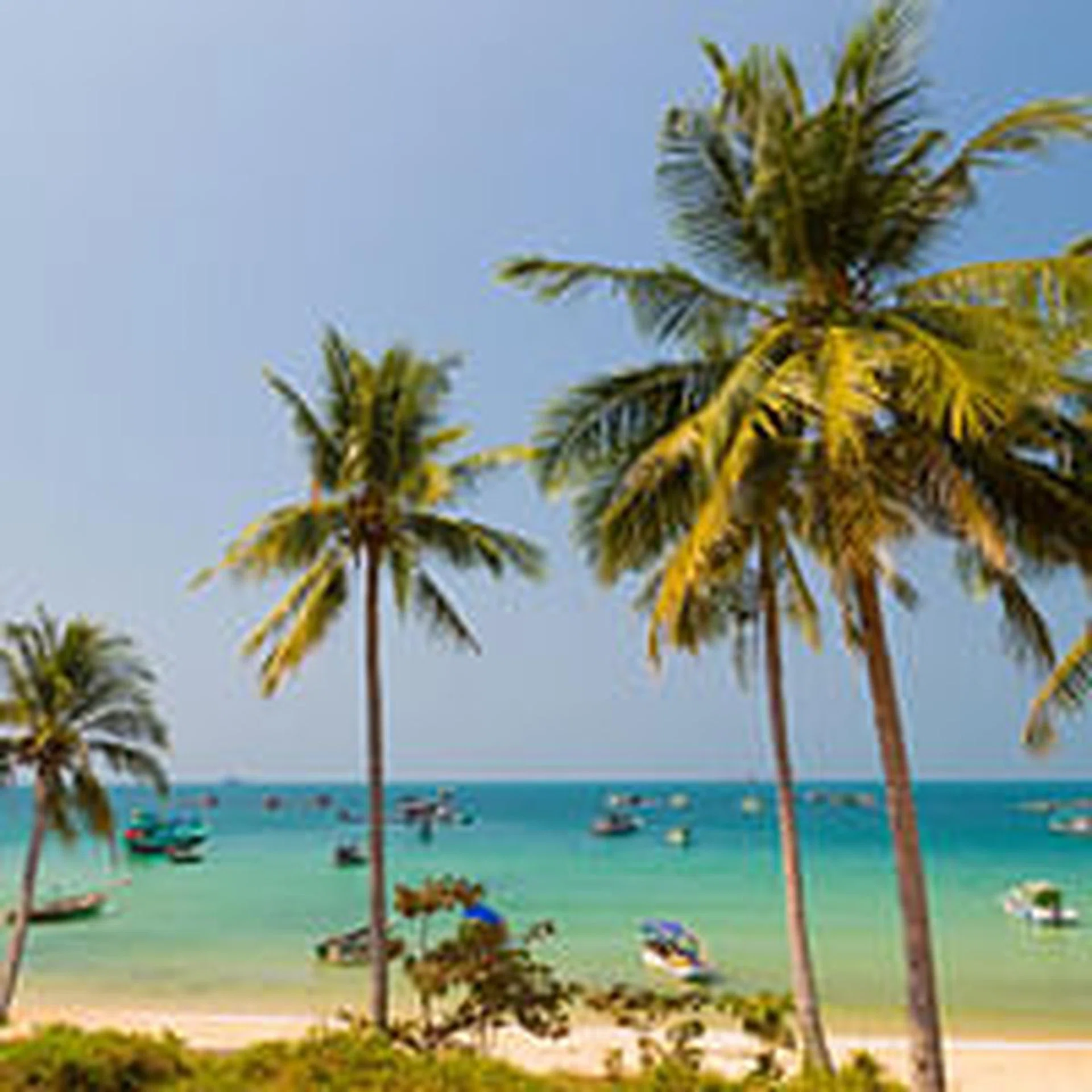Phu Quoc T