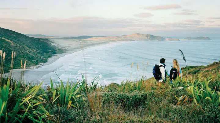new zealand coastal landscape couple