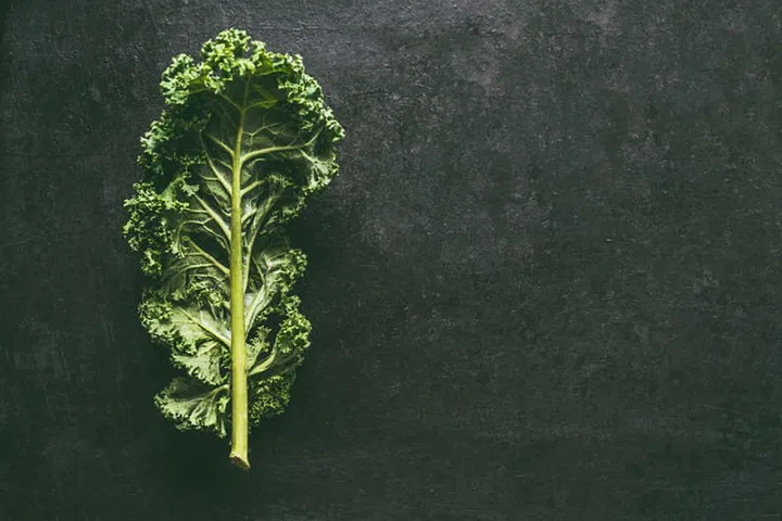 Green kale leaf on dark background, top view with copy space. Healthy detox vegetables . Clean eating and dieting concept. Top view with copy space. Health kale benefits