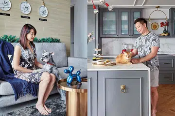 pet-compatible interior