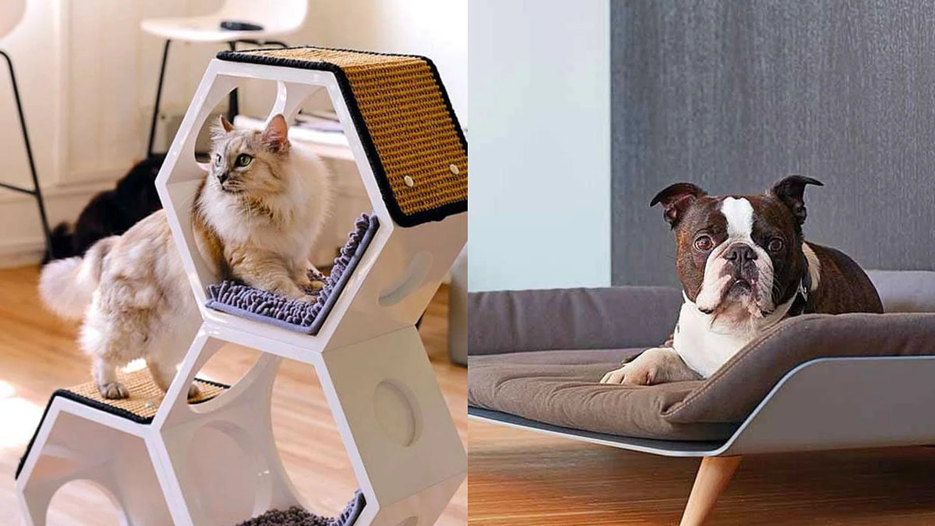 Pet furniture