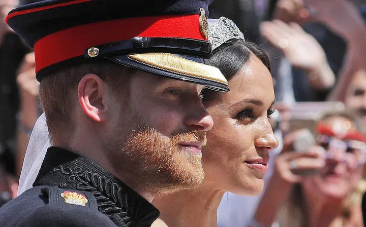 Prince Harry's beard