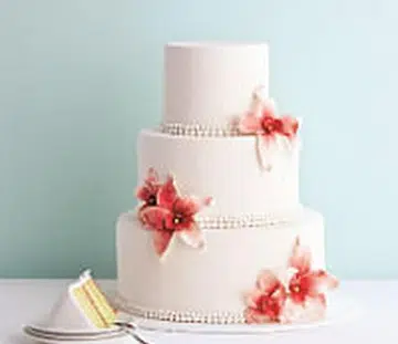 sg50 cake.jpg
