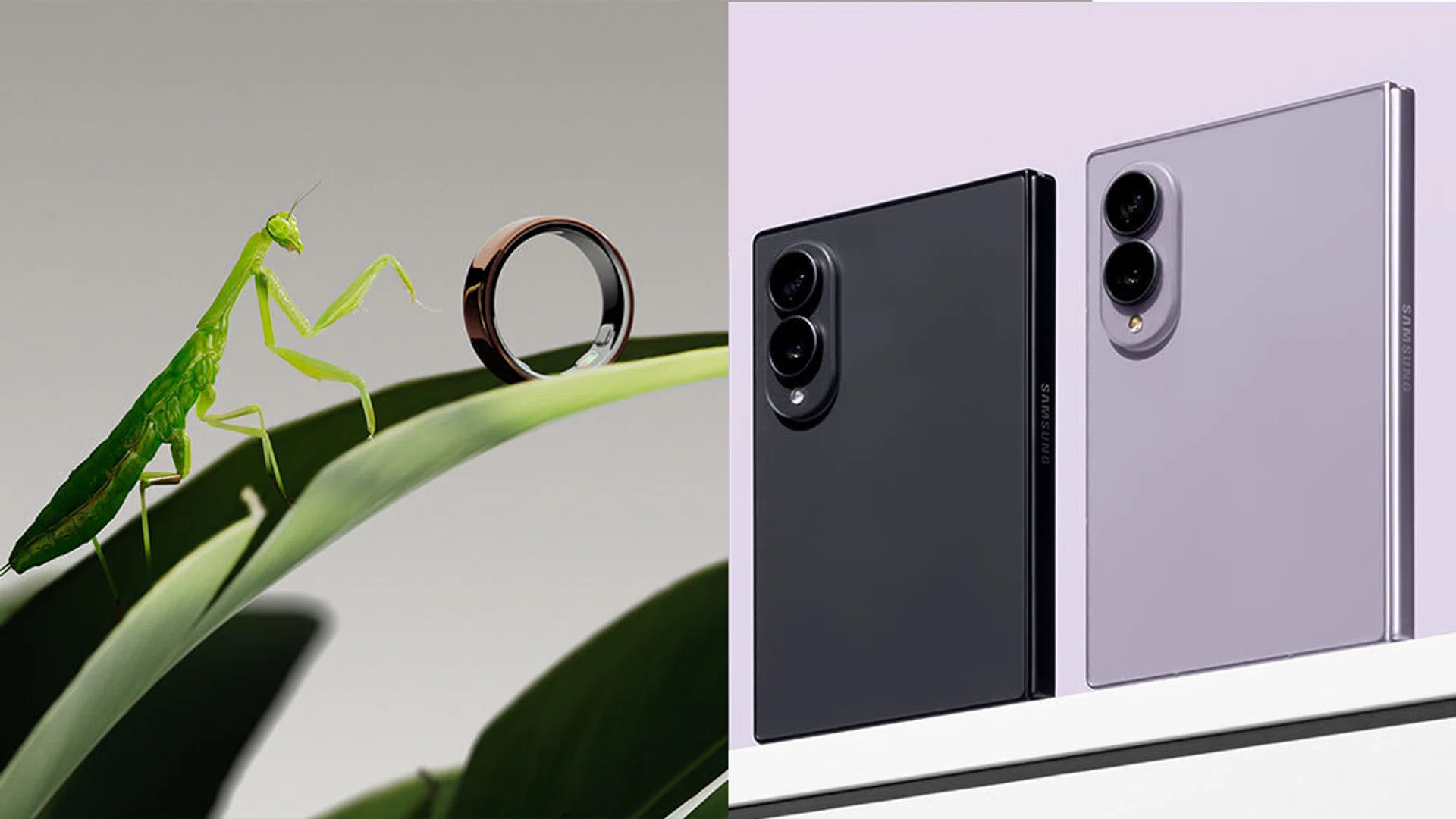 oura ring 5, samsung z fold8