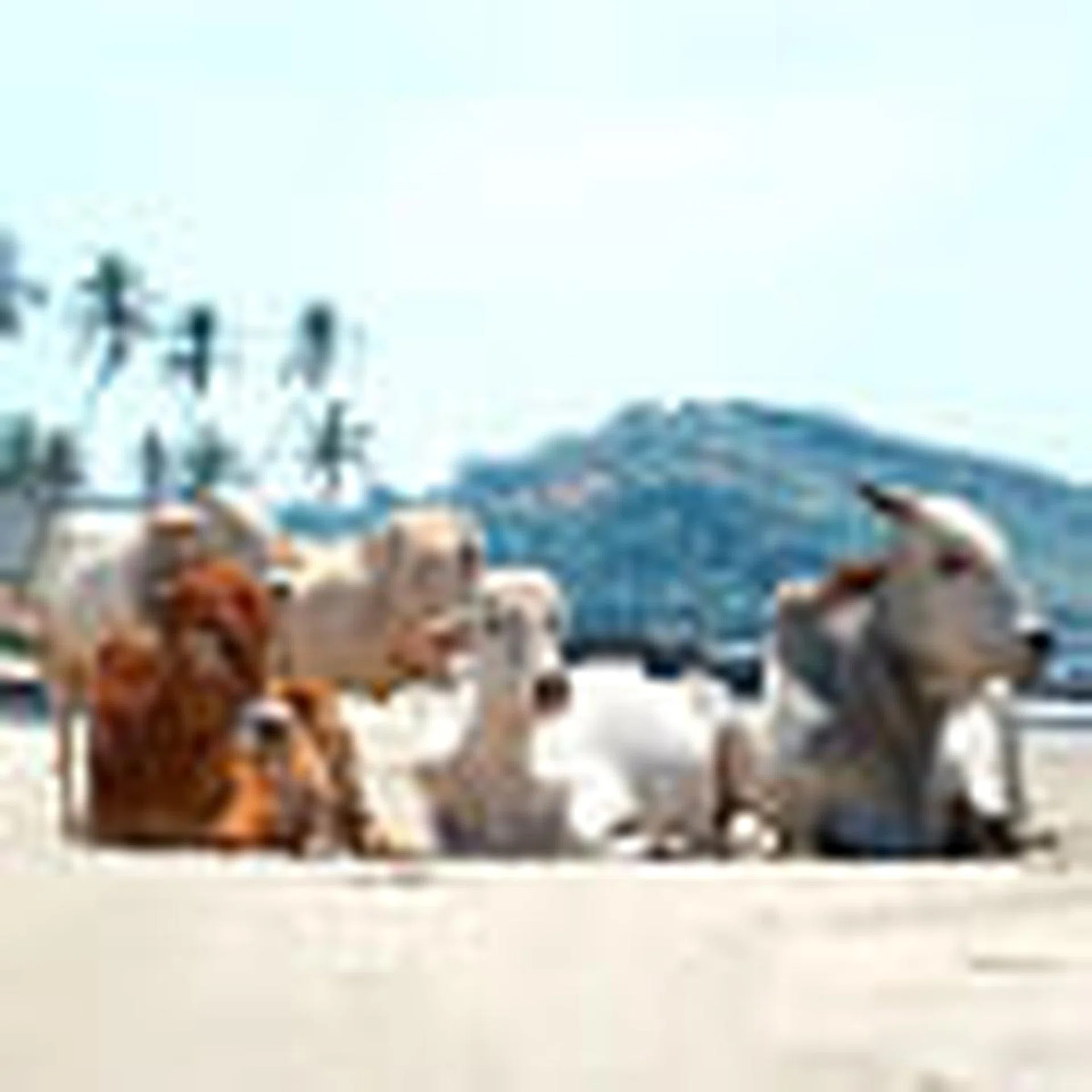 10 unusual beaches around the world