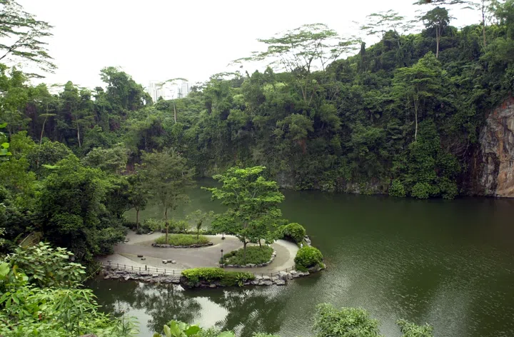 Bukit Batok Nature Park