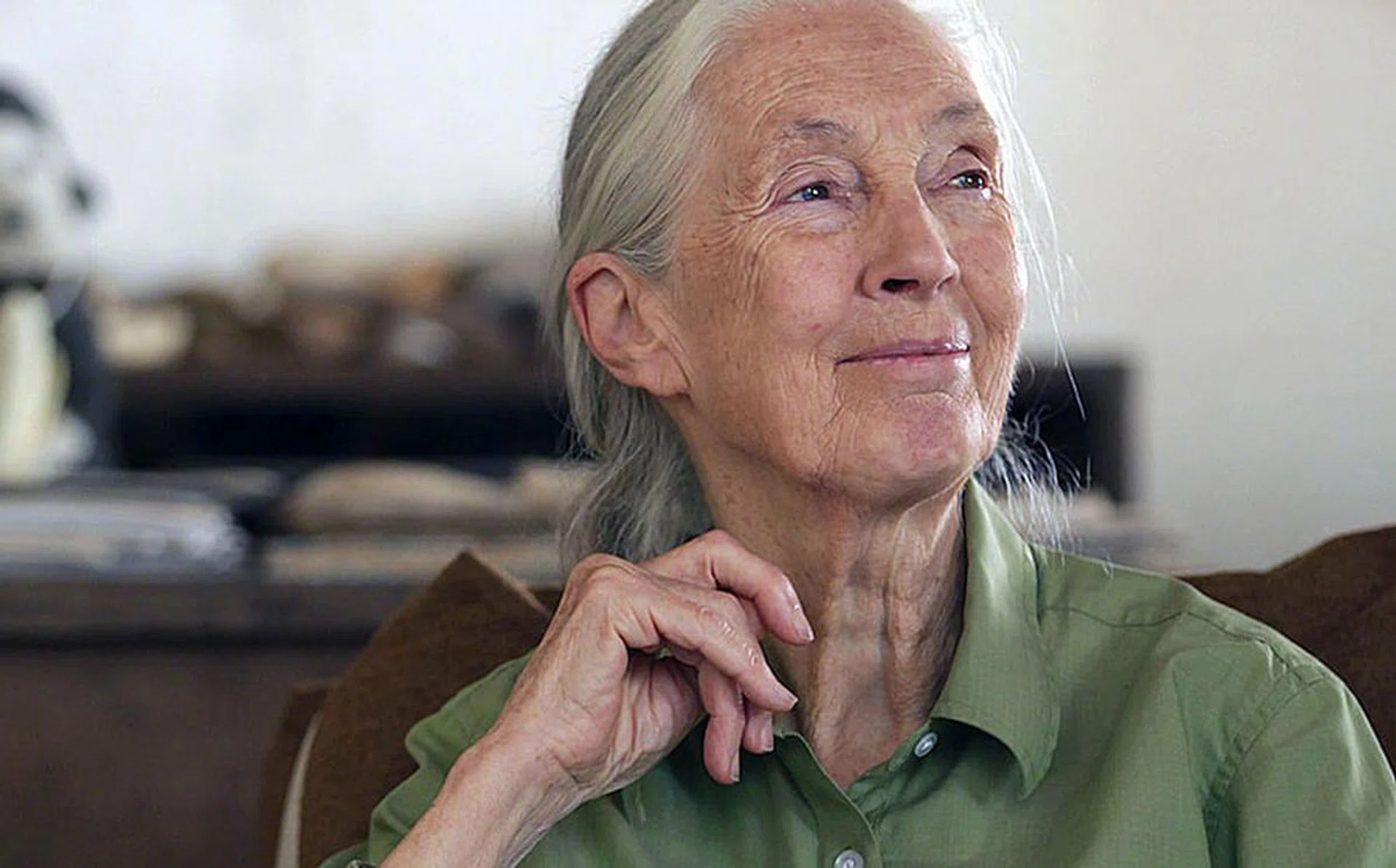 Jane Goodall