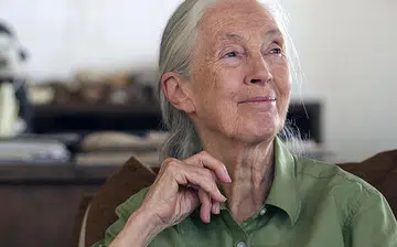 Jane Goodall