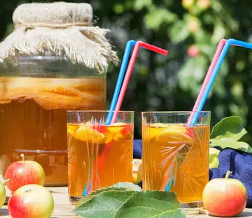 kombucha making tips tricks