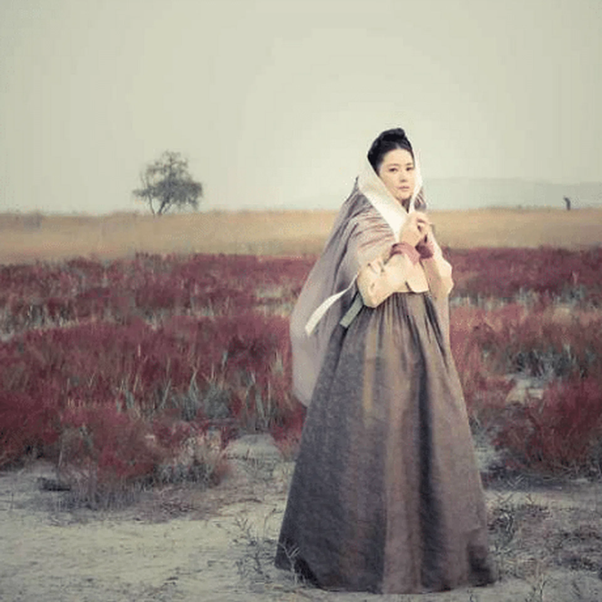 lee_young_aethumbnail