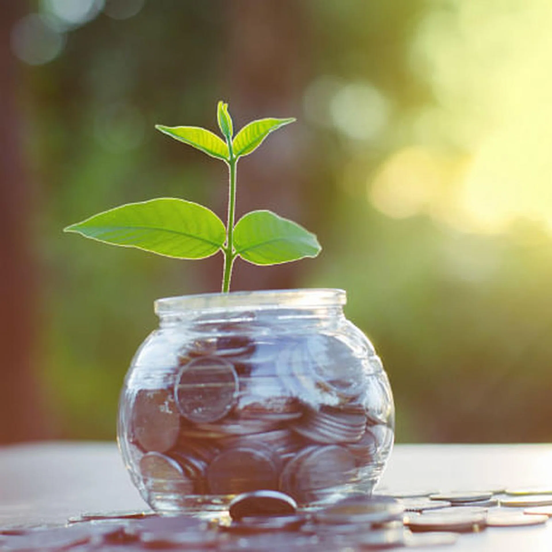 why young singaporeans are not investing - thumb