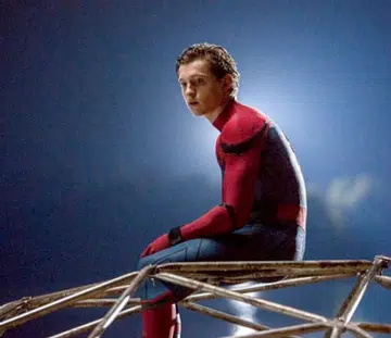 spideytn