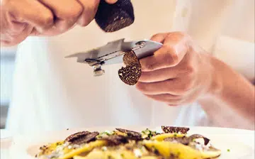 ca1596d8-0af3-4e7e-8e9f-af271043422dv1_11.38.07_am_900x560