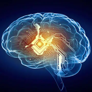 brain_1